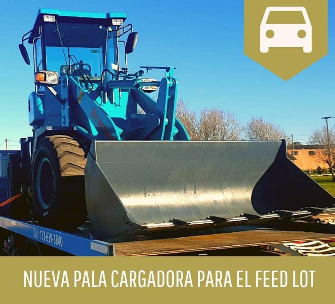Nueva Pala Primavera 2020